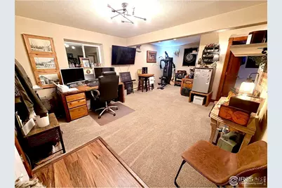 3689 Ottawa Way, Red Feather Lakes, CO 80545 - Photo 3