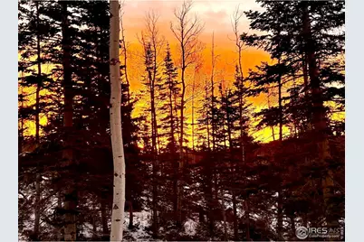 3689 Ottawa Way, Red Feather Lakes, CO 80545 - Photo 39