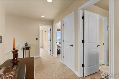 1624 Chokeberry St, Berthoud, CO 80513 - Photo 29