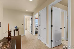 1624 Chokeberry St, Berthoud, CO 80513 - Photo 29