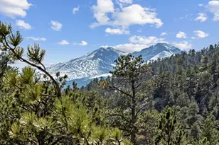 140 Loveland Heights Ln, Drake, CO 80515 - Photo 3