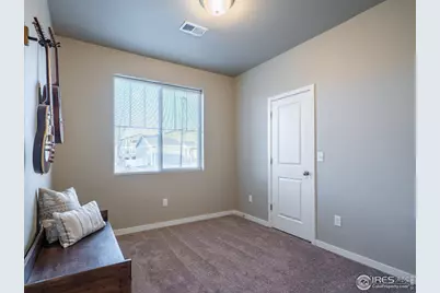 3893 Sweetgum St, Wellington, CO 80549 - Photo 9