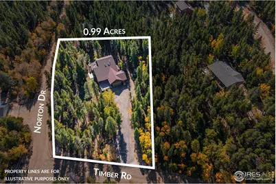 220 Timber Rd, Black Hawk, CO 80422 - Photo 23