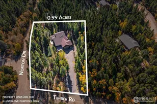 220 Timber Rd, Black Hawk, CO 80422 - Photo 23