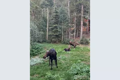 220 Timber Rd, Black Hawk, CO 80422 - Photo 31