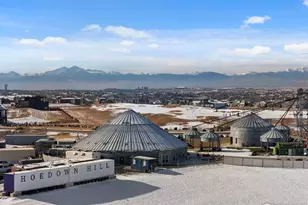 1820 E Seadrift Dr, Windsor, CO 80550 - Photo 47