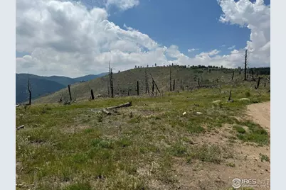 280 Rim Rd, Boulder, CO 80302 - Photo 25