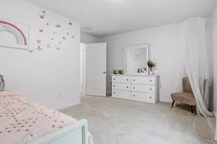 821 Elias Tarn Dr, Severance, CO 80550 - Photo 21