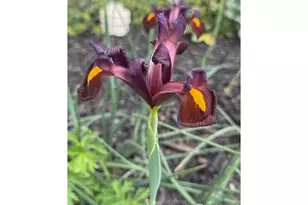 2817 Cub Lake Dr, Loveland, CO 80538 - Photo 43