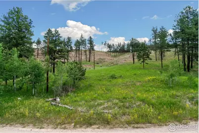 620 Davis Ranch Rd, Bellvue, CO 80512 - Photo 15