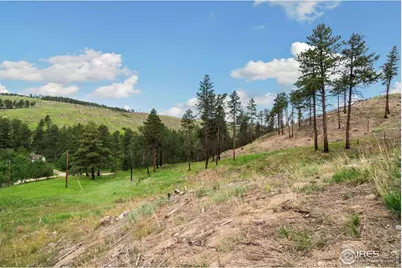 620 Davis Ranch Rd, Bellvue, CO 80512 - Photo 15