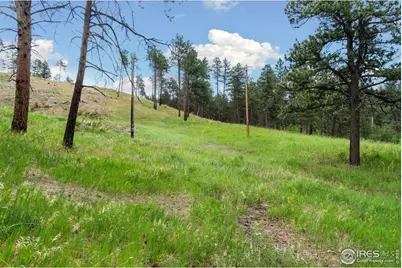 620 Davis Ranch Rd, Bellvue, CO 80512 - Photo 17