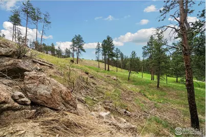 620 Davis Ranch Rd, Bellvue, CO 80512 - Photo 11