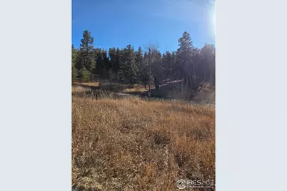 620 Davis Ranch Rd, Bellvue, CO 80512 - Photo 9
