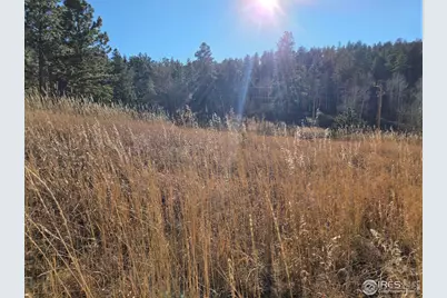 620 Davis Ranch Rd, Bellvue, CO 80512 - Photo 7