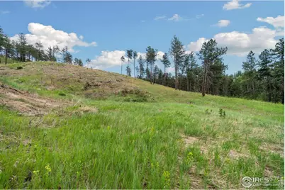 620 Davis Ranch Rd, Bellvue, CO 80512 - Photo 9