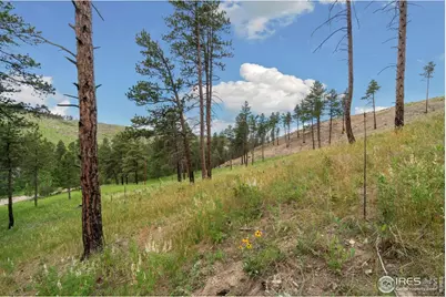 620 Davis Ranch Rd, Bellvue, CO 80512 - Photo 13