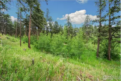 620 Davis Ranch Rd, Bellvue, CO 80512 - Photo 11