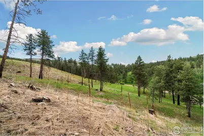 620 Davis Ranch Rd, Bellvue, CO 80512 - Photo 13