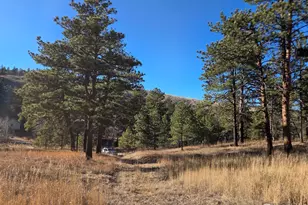 620 Davis Ranch Rd, Bellvue, CO 80512 - Photo 1