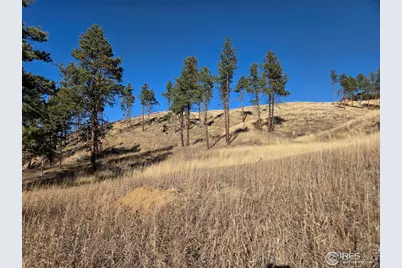 620 Davis Ranch Rd, Bellvue, CO 80512 - Photo 3