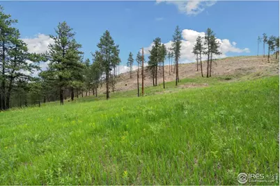 620 Davis Ranch Rd, Bellvue, CO 80512 - Photo 7