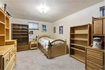 706 Filbert Dr, Loveland, CO 80538 - Photo 23