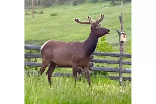 165 Valley Rd, Lyons, CO 80540 - Photo 35