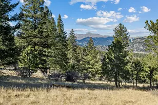 3333 Rockwood Ln S, Estes Park, CO 80517 - Photo 13