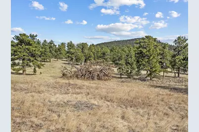 17667 Hwy 7, Lyons, CO 80540 - Photo 31