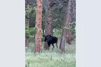 17667 Hwy 7, Lyons, CO 80540 - Photo 23