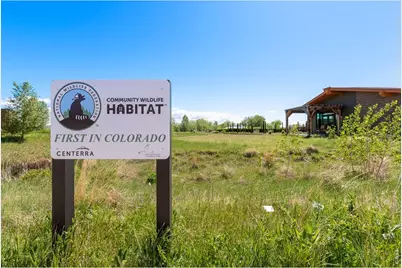 2721 Cub Lake Dr, Loveland, CO 80538 - Photo 49