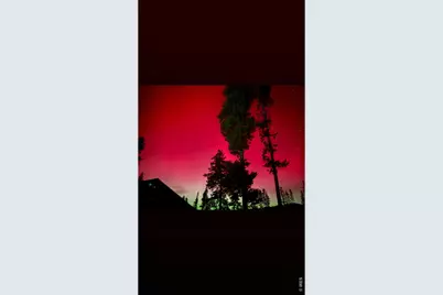 485 Anderson Ln, Walden, CO 80480 - Photo 9