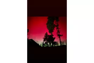 485 Anderson Ln, Walden, CO 80480 - Photo 9