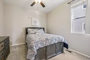 603 Green Mountain Dr, Erie, CO 80516 - Photo 19