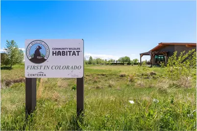 4178 Greenhorn Dr, Loveland, CO 80538 - Photo 39