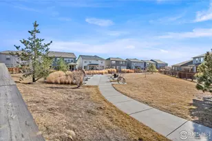 5233 Second Ave, Timnath, CO 80547 - Photo 29