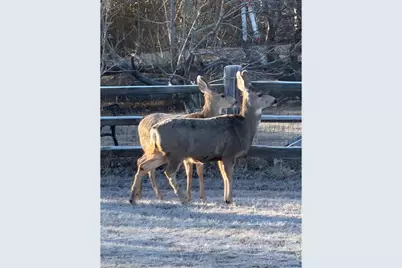 8840 Niwot Rd, Niwot, CO 80503 - Photo 19