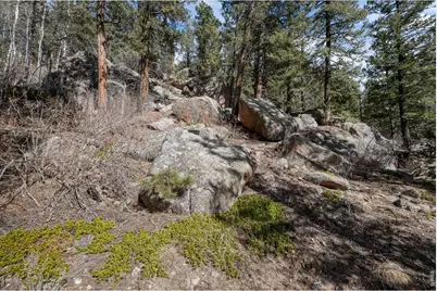 31468 Kings Vly W, Conifer, CO 80433 - Photo 49