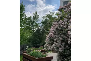 771 Owl Ct, Louisville, CO 80027 - Photo 35