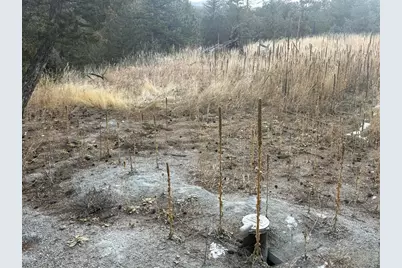 766 Lakeshore Dr, Boulder, CO 80302 - Photo 5