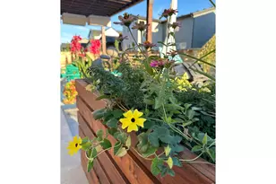 2957 Biplane St, Fort Collins, CO 80524 - Photo 29