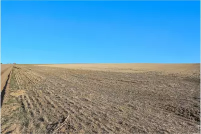 Parcel 1 Cr 36 and Cr 3, Mead, CO 80542 - Photo 7