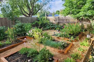 4125 Sunstone Dr, Fort Collins, CO 80525 - Photo 35