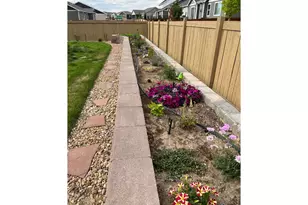 6992 Meadow Rain Way, Wellington, CO 80549 - Photo 45