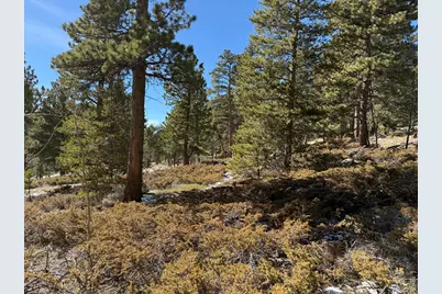 711 Osage Trl, Red Feather Lakes, CO 80545 - Photo 13