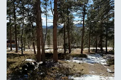 711 Osage Trl, Red Feather Lakes, CO 80545 - Photo 11