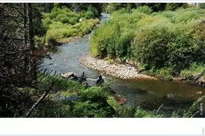 534 Blackfoot Rd, Red Feather Lakes, CO 80545 - Photo 13