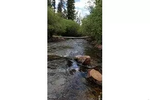 534 Blackfoot Rd, Red Feather Lakes, CO 80545 - Photo 15