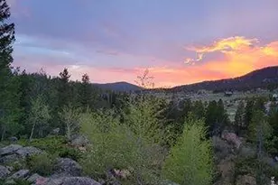 534 Blackfoot Rd, Red Feather Lakes, CO 80545 - Photo 49